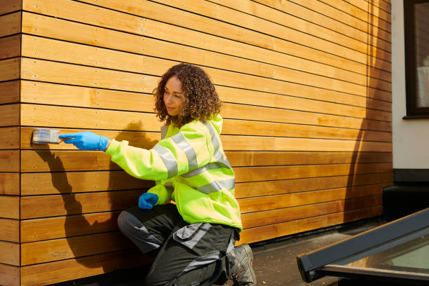 Best Custom Siding Design  in Lovejoy, GA