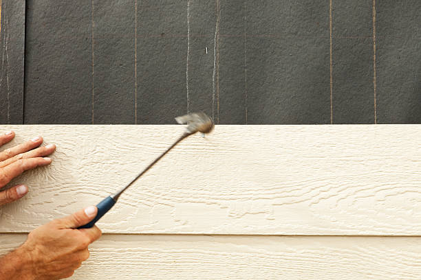 Best Insulated Siding Installation  in Lovejoy, GA